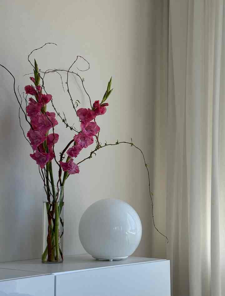 Perfect day to add some flowers in my space while enjoying the view of mt.rainier
(Gotta appreciate the sunny days when you are in Seattle. iykyk 👀
#seattle #flower #view