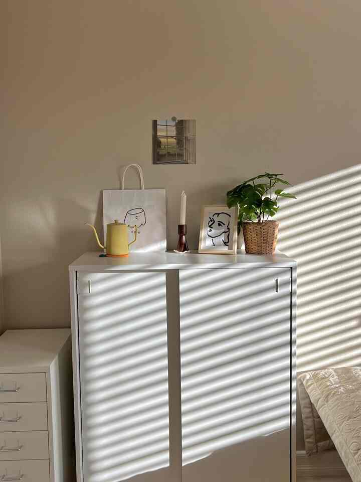 Bright sunlight casts shadows on a white storage cabinet with natural elements, creating a simple modern interior space