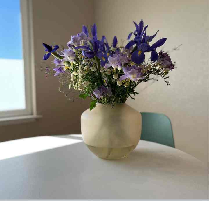 A beautiful flower again today.

#purple #flowerinterior #flowerterrier #bookstand #potablespeaker #smiski
