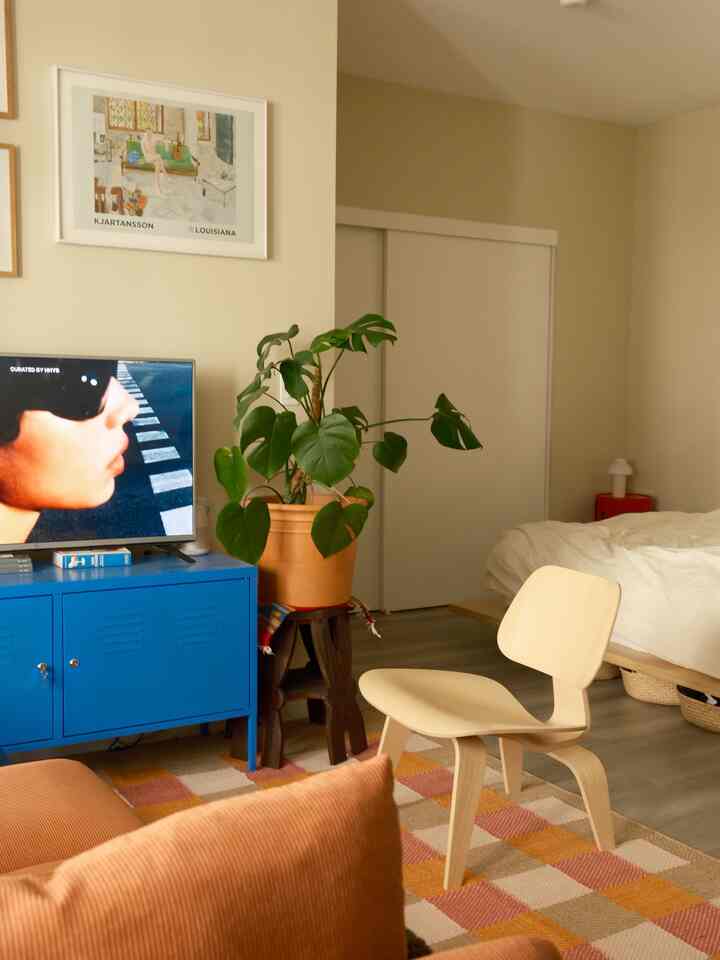 Natural-toned combined bedroom and living room featuring a blue cabinet, wood armchair, and large potted plant creating cozy ambiance