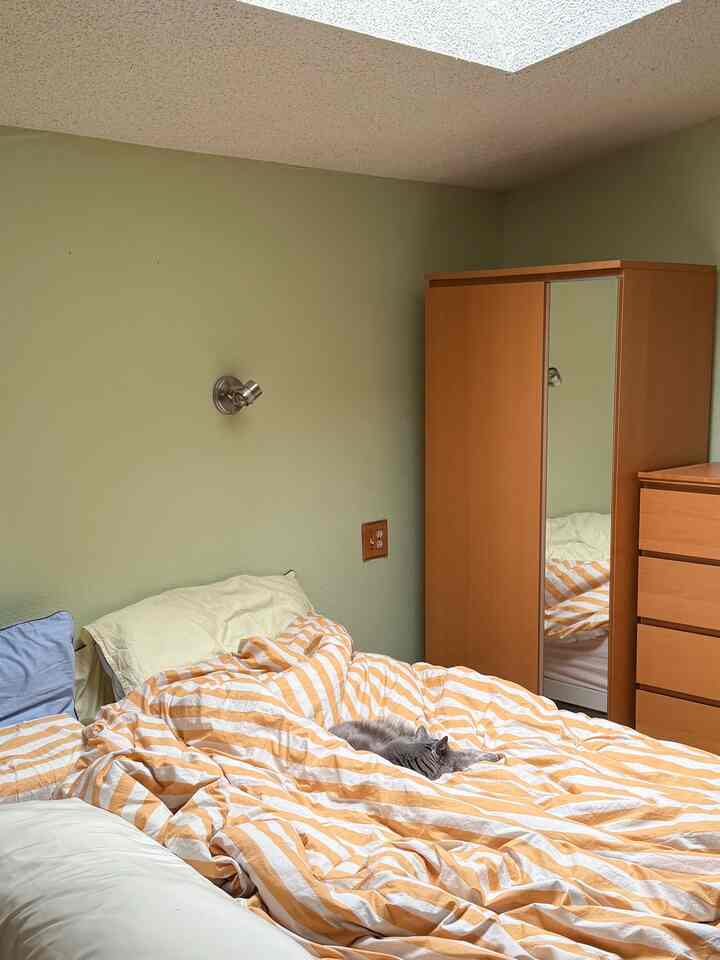 Tidur, regangkan tubuh, jelajahi, ulangi 🔂

#ruangtamu #bedroominterior #cathouse #cabinhome #cabinvibe #livewithcat