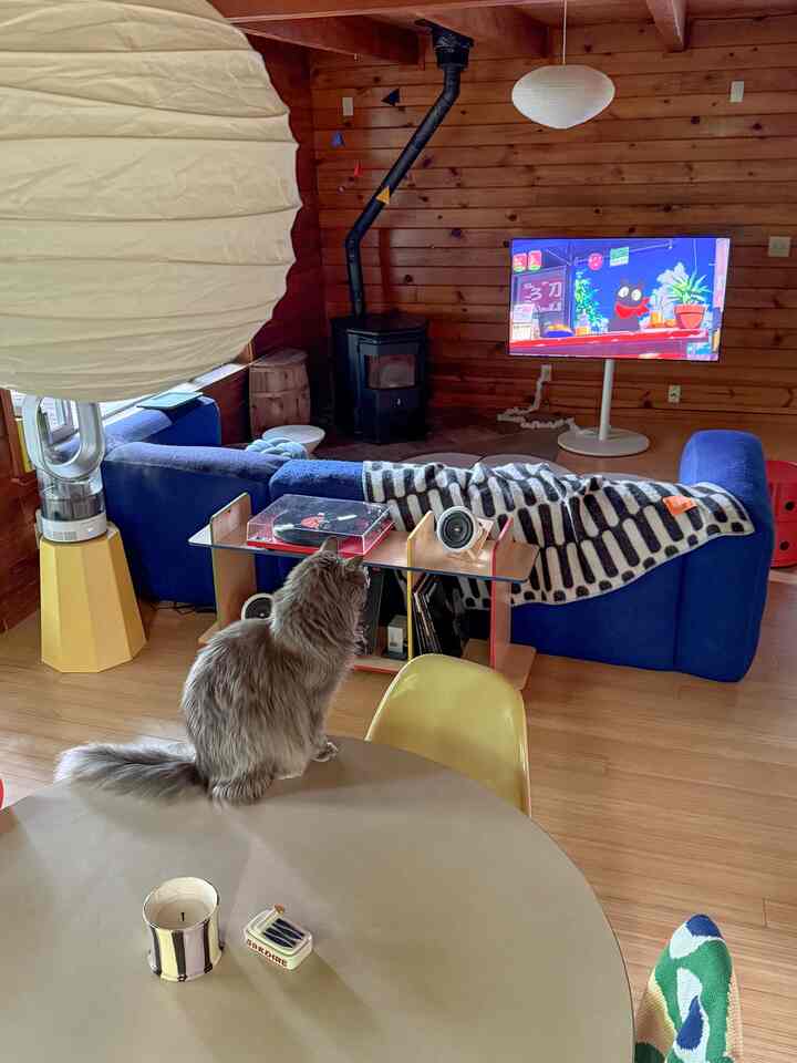 Living room with blue sofa and wood-tone walls featuring a cat and audio equipment in a cozy setting