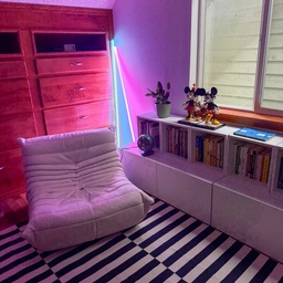 This is where my husband gets things done. Or just vibes with Mickey
#neonhomeoffice #moodlighting #bookishvibes
#homeoffice #neonvibes #workspacewithstyle
