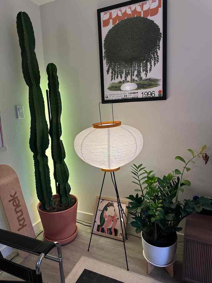 Cozy corner space with green plants and wood tones, featuring large potted cactus and a floor lamp creating warm ambiance