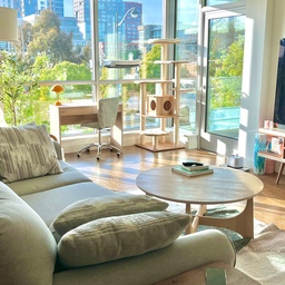 ✨ Sunday Reset for a Fresh Start – Our Cozy Cat Corners
Sundays are for slowing down, resetting the space, and creating a cozy, peaceful home for everyone — including our furry family members. 🐾✨
In our library nook, I love tidying up the Happy & Polly cat tree and wiping down the window perch — it’s the perfect sunlit spot for the cats to nap while I reset the room with a light vacuum and fresh air. 🌿🪟
I also make sure the cat water fountain is clean and full — a little ritual that keeps our kitties happy and healthy. Hydration is key for them too! 💧
And of course, the Costco grey tunnel always makes its way out on the weekends. It’s the ultimate entertainment for our cats, and when it’s time to tidy up, it folds neatly away, keeping the space minimal and clutter-free. 🧹✨
A clean home makes room for peace, plants, and lots of soft lighting. Here’s to a fresh start for the week ahead! 🌸☀️
#SundayReset #CleanSpaceClearMind #CozyCatCorner #CatFriendlyHome #MinimalDecor #SoftLightingVibes #CatTunnelFun #HappyAndPolly #NeutralHomeVibes #CatLife #PetParentGoals #WeekendVibes #LivingWithCats #SmallSpaceLiving #SundayRoutine #CozySpaces #PlantCorner #TidyHomeTidyMind #SimpleJoys #WeekendReset