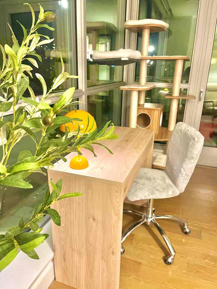 Wood tone floor and desk with a cat tower placed in corner in cozy home office space