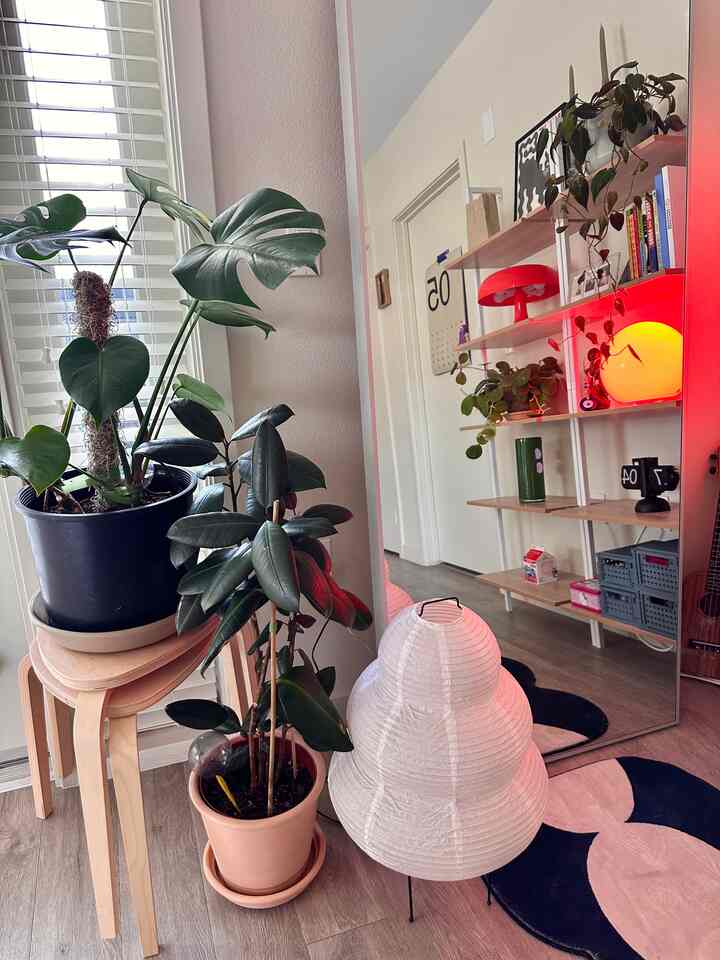 Cozy morninn🫶🏽

#interior #interiordesign #motivation #homedesign #home #apartment #apartmentliving #vibes #favorite #apartmentdecor #interiorhome #homevibes #myinteriorstyle