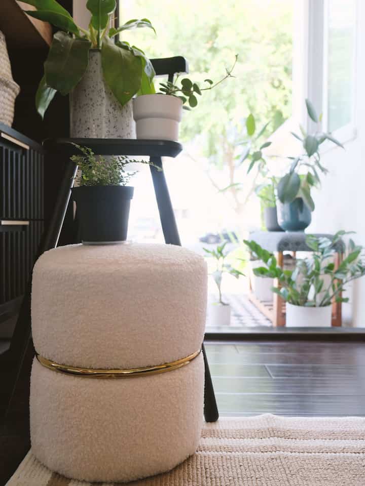 Every week or two, I love to give my plants some porch time for a good watering and dry-out. It's the perfect excuse to run the vacuum and get some fresh air flowing through the house simultaneously – totally multi-tasking my Sunday Reset!

#plantbutler #plantinterior #plant #plantterrier #plantbutler #plants #plantdiary #planterorganizer #porchfloor #entranceinterior #entrancehall #entrancedesign #entrancehallwayinterior 