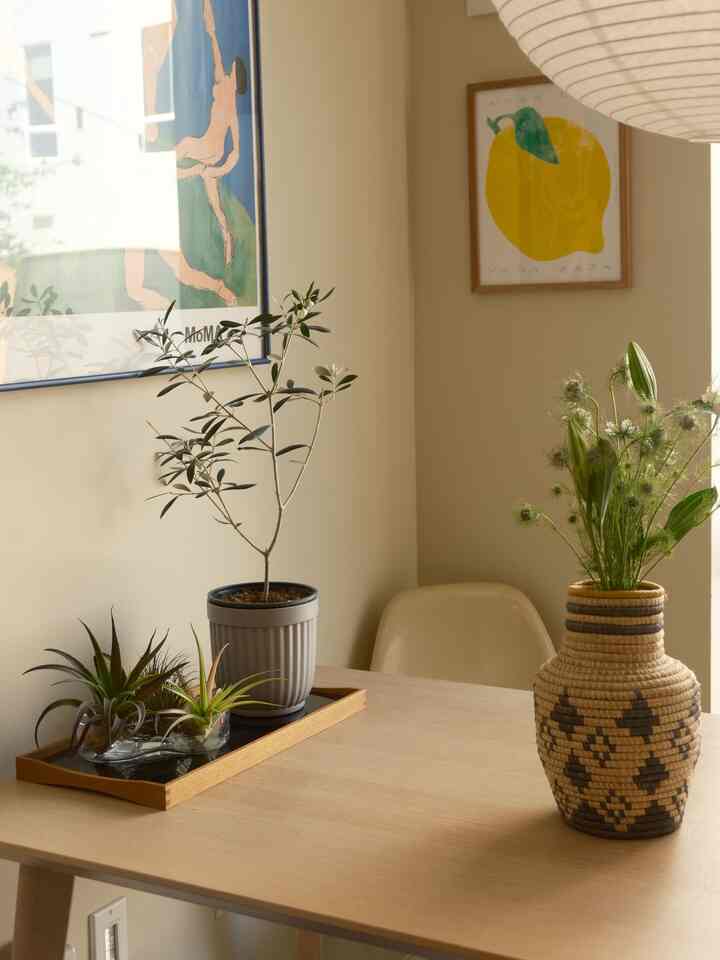 Natural style dining room with beige-toned walls and a wooden table adorned with green plants