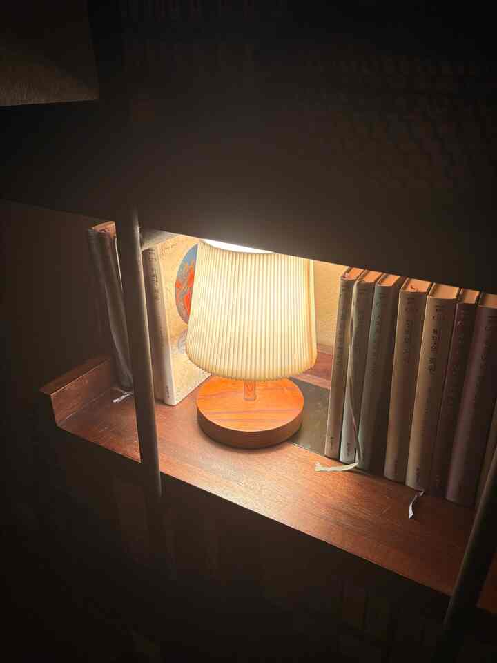 In a quiet corner of the living room, children’s books fill the shelves like colorful whispers of wonder.

#KidsAtHome
#BookshelfStyling
#ReadingCorner
#ChildrensBooks
#HomeWithKids
#LittleLibrary
#BookLoversHome
#CozyFamilyHome
#StorytimeMagic
#GrowingWithBooks