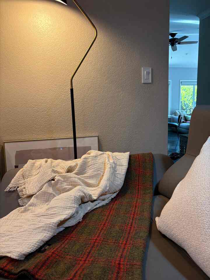 White and brown toned living room featuring a brown sofa, floor lamp, cozy blanket and pillow creating a warm atmosphere