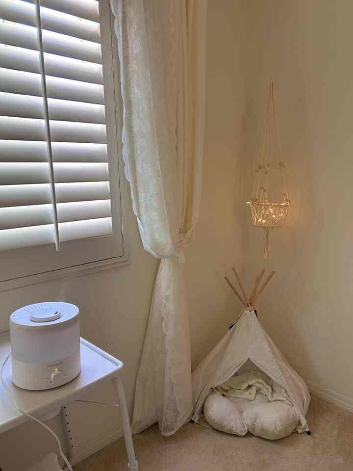 Beige and white-toned small space featuring dog pet house and lace curtains with a warm, natural atmosphere