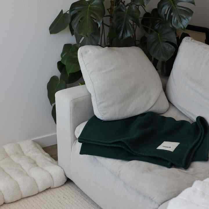 Natural-toned living room featuring light gray sectional sofa with dark green blanket and cream dog bed, cozy atmosphere