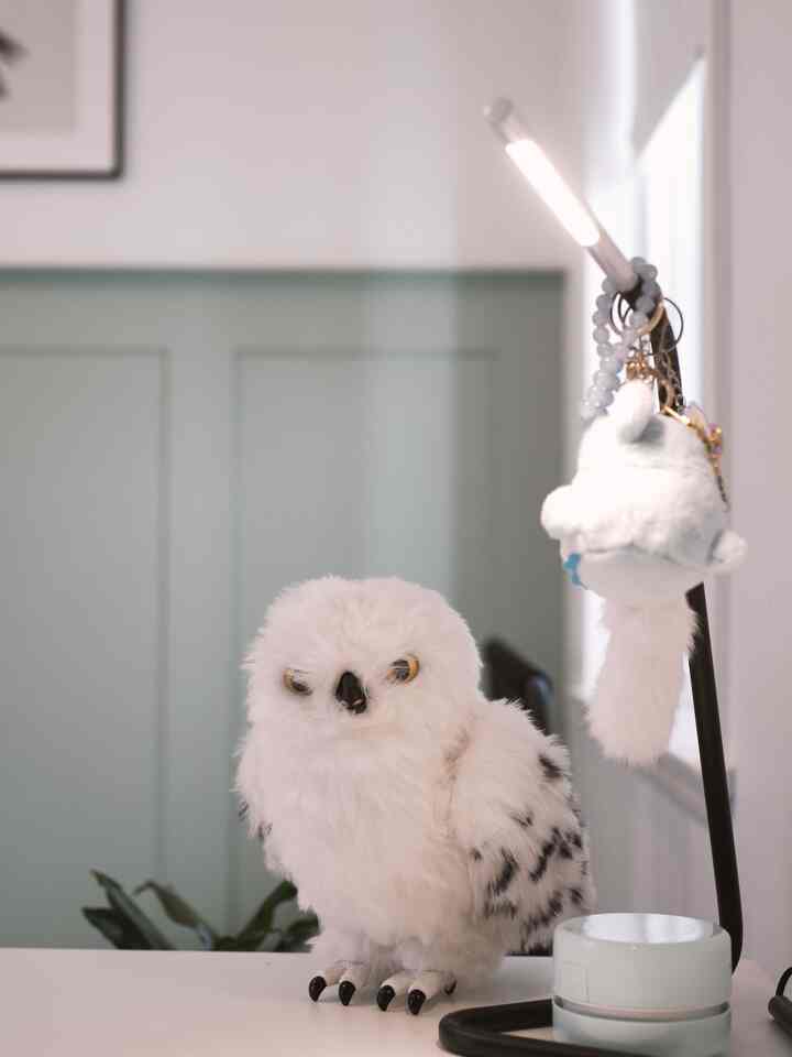 Putri saya suka mendekorasi dengan benda-benda kecil favoritnya — dia bahkan menggantungkan boneka di lampu meja agar terasa lebih seperti dirinya. Kami tidak berharap banyak dari penyedot debu meja mini ini, tetapi fungsinya sangat baik sehingga anak-anak terobsesi! Ini kamar anak-anak saya, dan mereka menemukan kegembiraan di sini.

#kamaranak #Kidsroominterior #ikeapictureframe #ikea #ikeadesk #ikeachair #ikeabed #ikeastorage #storagespace #sharedbedroom #europe #Europeaninterior #Europeansensibility #Nordicinterior #NorthEurope #Nordicinterior #nordicstyle #kid #boardandbatten #walldecoration #wallinterior