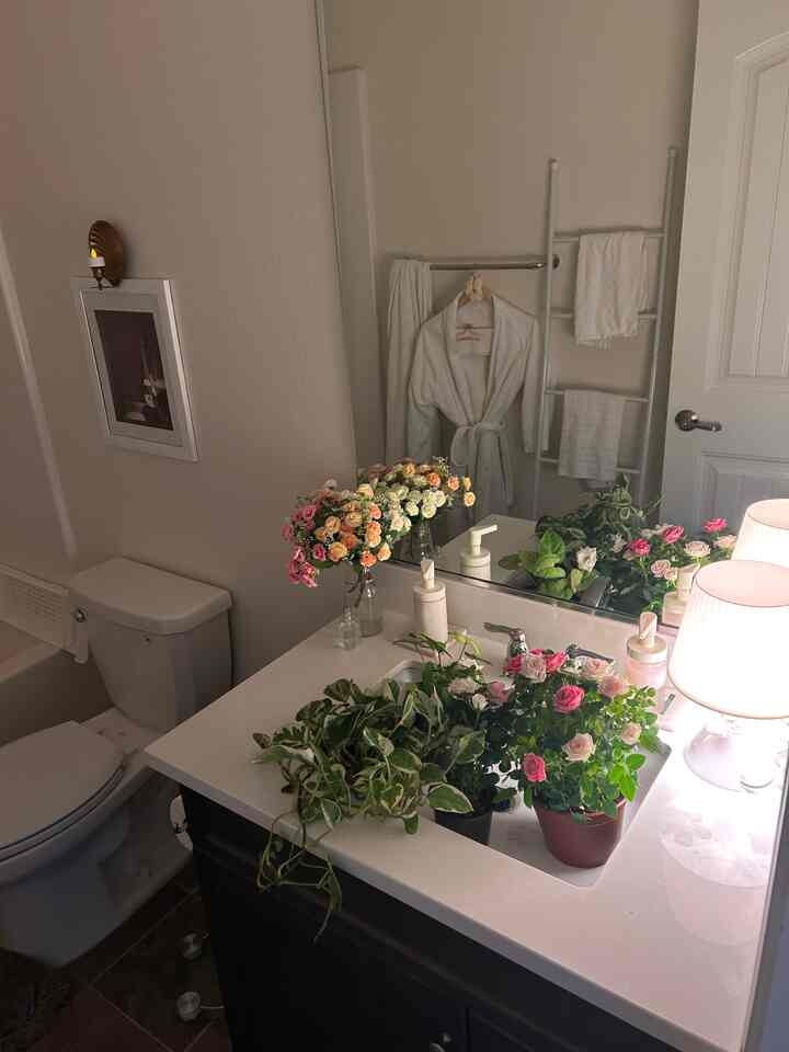 White-toned bathroom featuring plants and flowers on the sink counter, creating a cozy and natural atmosphere