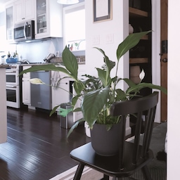 The view of the kitchen from the entrance always gives me that ‘home sweet home’ feeling.
Snapped this quickly while making dinner—just couldn’t resist the cozy vibes.
#apartmentaesthetic #itsmyhouseandilivehere #interiordesign #apartmenttour #itsmyhouse #kitcheninterior #kitchenstove #kitchen #hallwayinterior #hallway #entranceinterior #entrance #entrancehall #ikea #Modern #modernkitchen #cozyvibe #cozykitchen