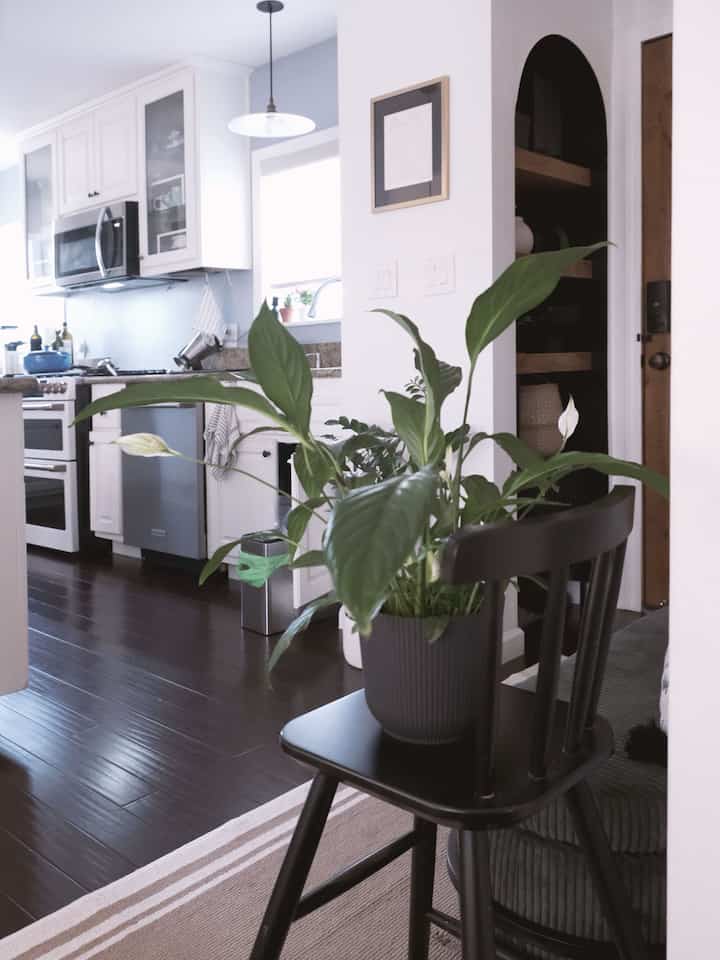 White and dark brown toned kitchen and entrance featuring a dining chair and large potted plant for a natural modern vibe