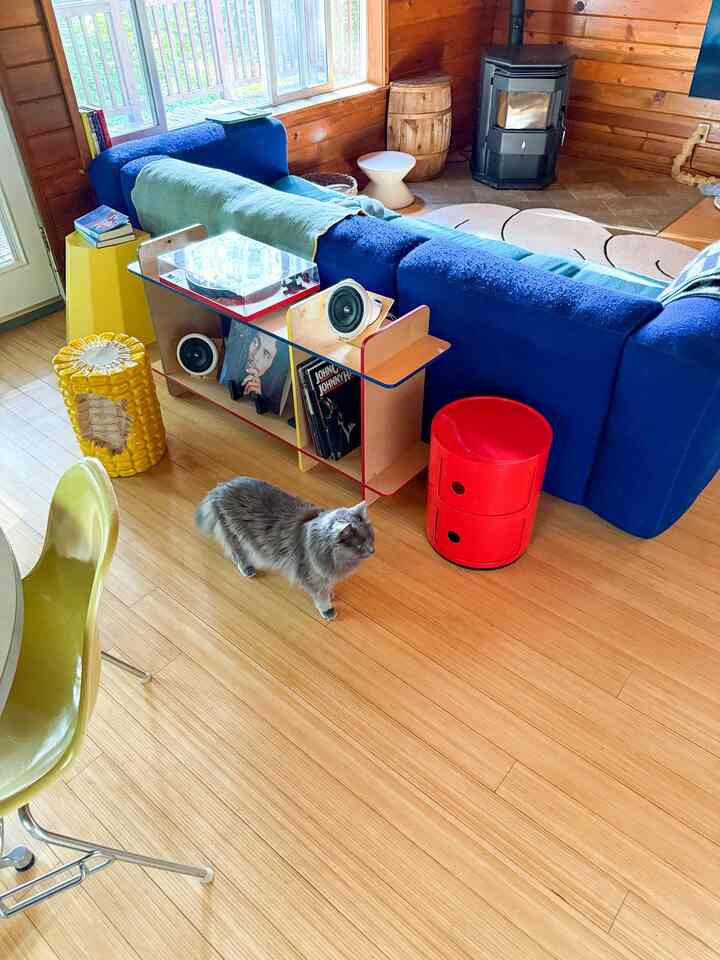 🩶

#warnarumah #cathouse #seattle #cabinhome #cabin #Cozy