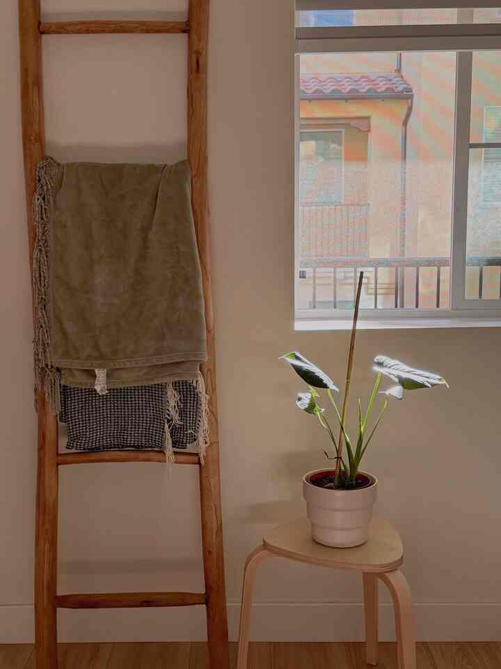 Summer is here ✨ #plant #plantpot #worldmarket #vase #blanketladder