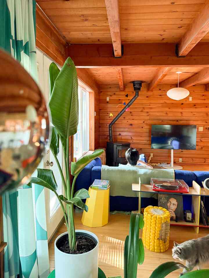 summer’s creeping in 🌞


#cabin #colorofhouse #colorterrier #seattle #cozy 