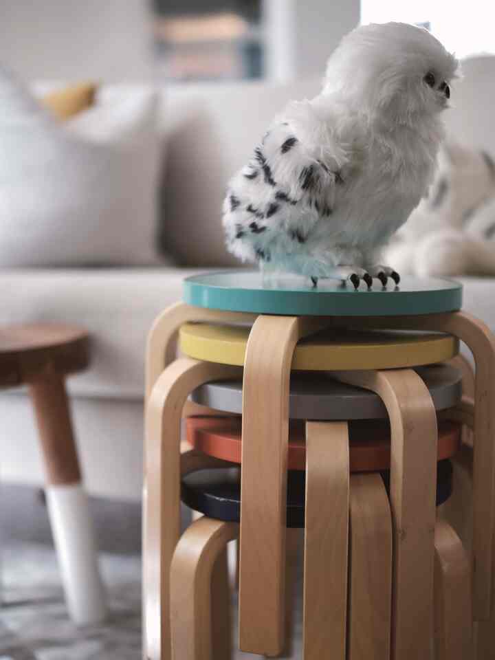 These colorful wooden stools have been a favorite of mine for over 4 years! I have 12 in total, and they stack up in sets of 6—perfect for saving space. They’re great for both kids and adults, and I’ve used them as plant stands, mini tables, and extra seating at parties. Best of all, they’re super sturdy and budget-friendly!

#myfavoritecollection #furniturechallenge #designobsession #interioraddict #styledspaces #kidsstools #stools #stackablestools #smallspace