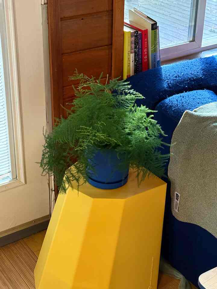 🔵🟡🟢

#colorofhouse #colorinterior #cabin #cabinhome #Cozy