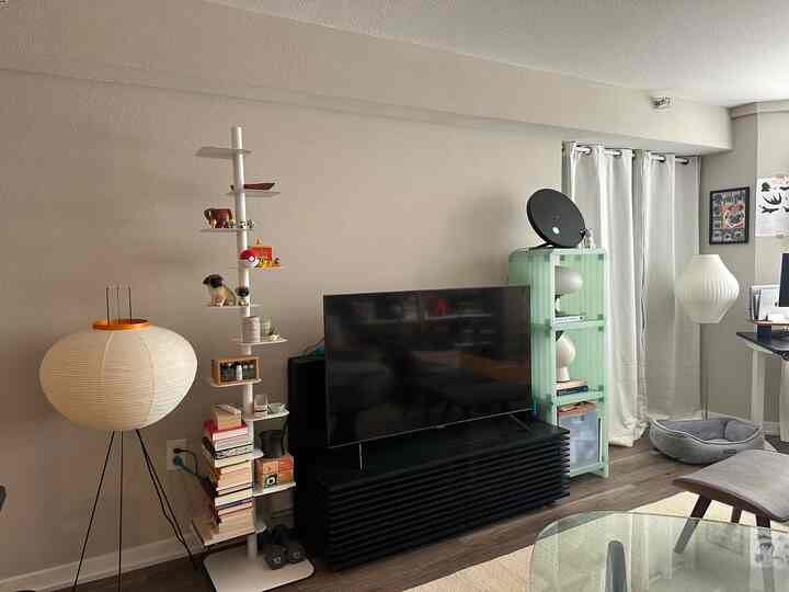 Natural color toned living room featuring TV stand, bookshelf, floor lamps, and pet accessories creating a cozy atmosphere