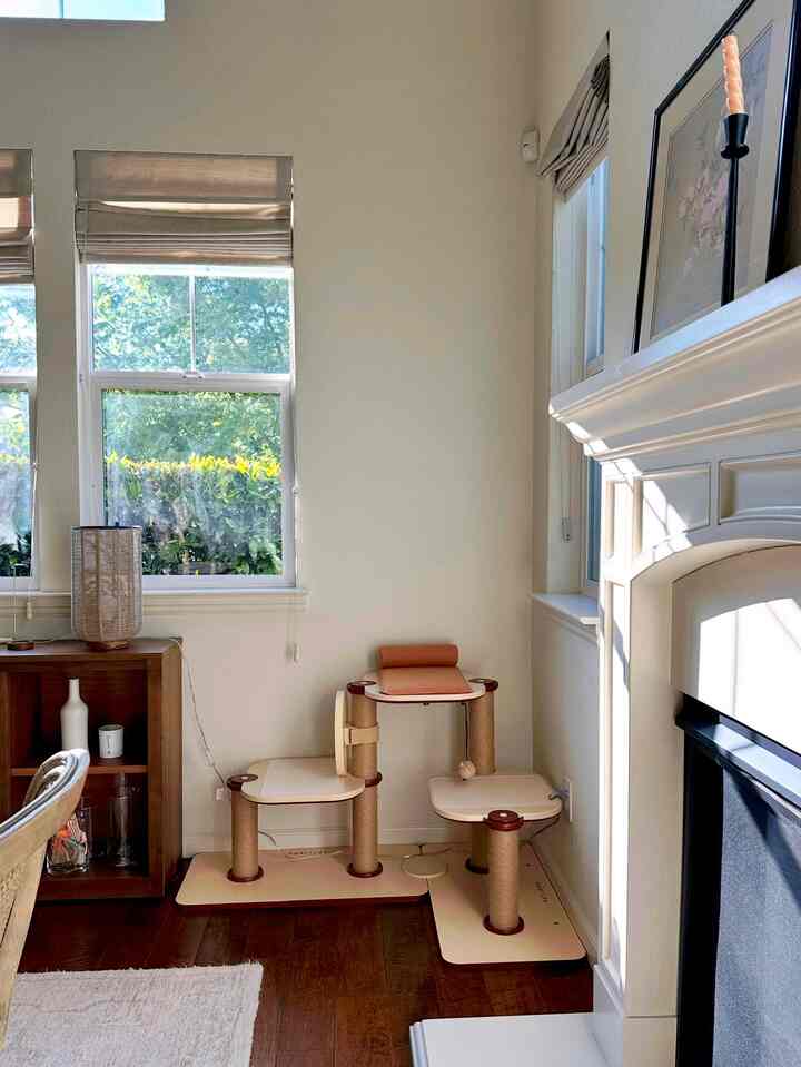 Beige-toned walls and wood flooring in a cozy living room featuring a multi-level cat tower near windows