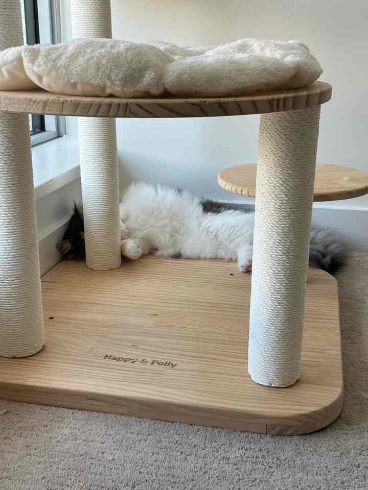 Natural color wood-toned space featuring a cat tower and a cat resting by the window in a cozy pet-friendly setting