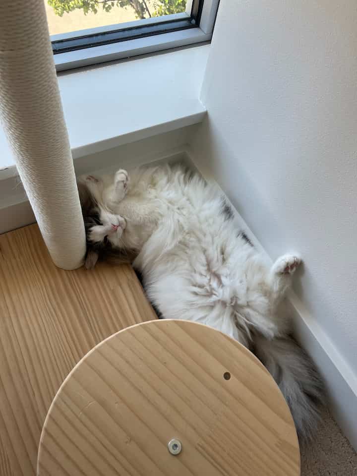 Tagged posts featuring Motorized Smart Roller Blinds 3