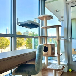 ☀️ Summer-Ready Spaces – Sunlit Zooms & Cat Co-Workers 🐾💻🌞
This living room corner near the big window has become our go-to summer multitask zone — part home office, part cat paradise.
There’s a small desk perfect for Zoom calls (with great natural lighting, of course), and right next to it, a cat perch and tree for our furry coworker to snooze, observe, and occasionally walk across the keyboard. 😹
It’s airy, functional, and filled with sunlight — proof that even small corners can do it all.
#SummerReady #WorkFromHomeVibes #CatCoworker #PetFriendlyHome #ZoomCorner #SunlitSpaces #LivingRoomOffice #WindowPerchLife #CatTreeGoals #StyledSpaces #SummerAtHome #MinimalWorkspace #CozyCorners #FurryRoommates #InteriorInspo
