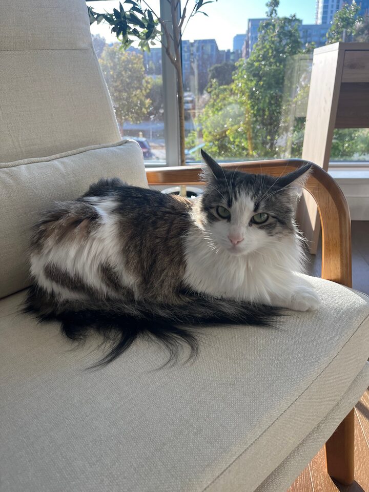 short form carousel card thumbnail