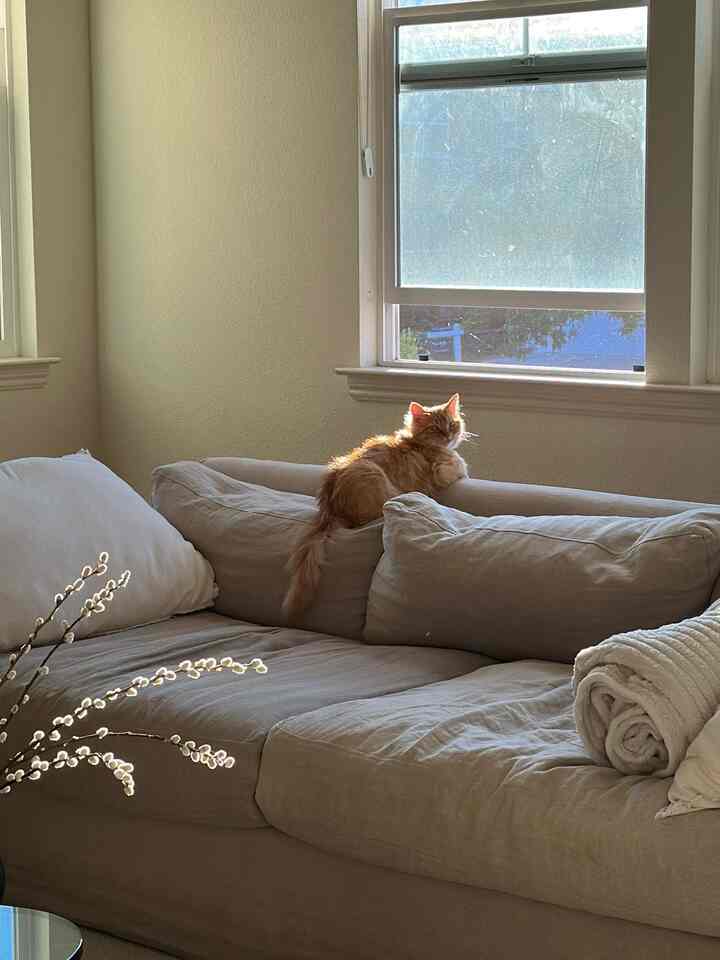 2nd floor view ✨🤍 
#livingroominterior #sofacover #sofa
