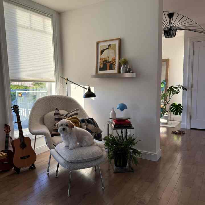 A white and wood tone Nordic style living room reading corner featuring a cozy armchair with a dog centrally placed, exuding warmth and comfort