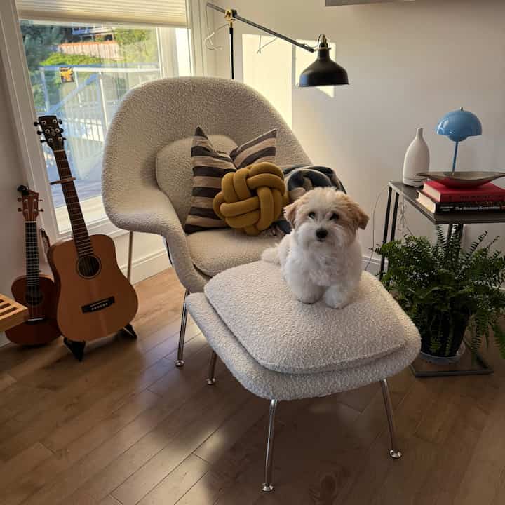 Natural white and brown living room featuring a textured white armchair and ottoman with a small dog sitting on it, guitars and floor lamp nearby creating cozy vibe