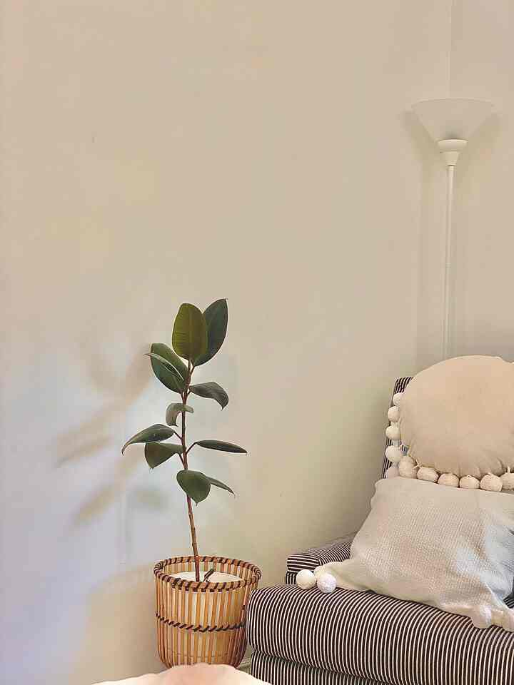 A little corner of California in my home ☀️🌴
Natural textures, soft tones, and a touch of green — this cozy nook brings all the laid-back Cali vibes indoors.
Slow mornings, warm light, and quiet moments. Just the way I like it.

#Ohouseseason3 #CaliforniaVibes #NeutralDecor #NaturalStyle #CozyCorner #InteriorInspo #RattanVibes #HomeStyling #CalmLiving #SereneSpace