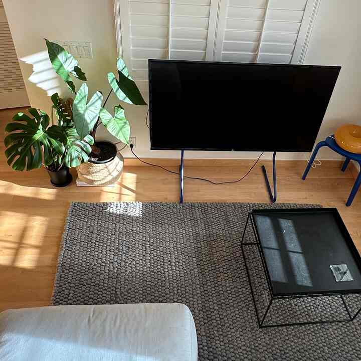 Natural-tone living room featuring large TV, stool, coffee table, and green plants creating a cozy ambiance