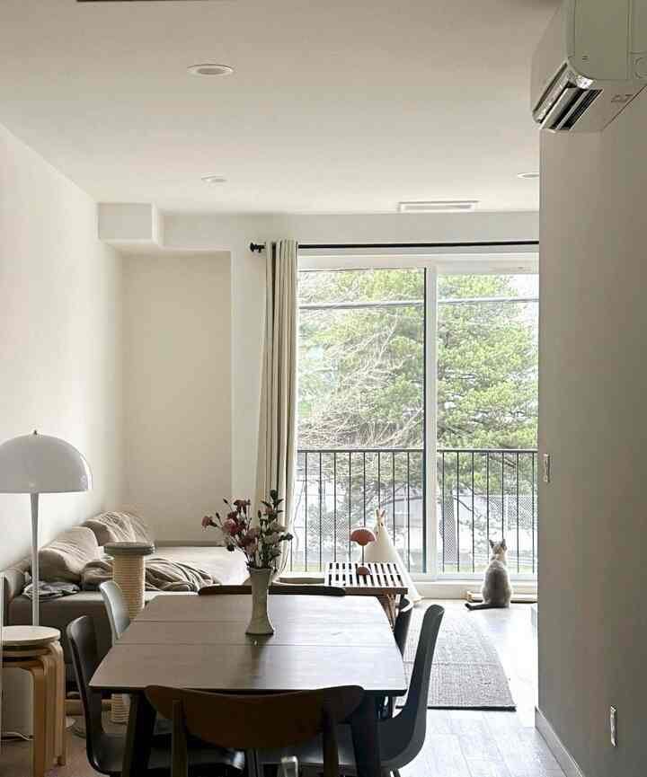 sweet milky looking out the window 🪟🍃🤍 #cat 