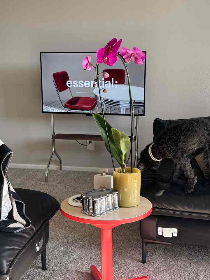 Modern living room in white and black tones featuring red side table with yellow plant pot and a black dog on black leather couch