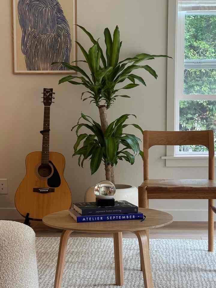 Natural beige and wood tone living room featuring a coffee table, dining chair, and large green plant with a calm atmosphere