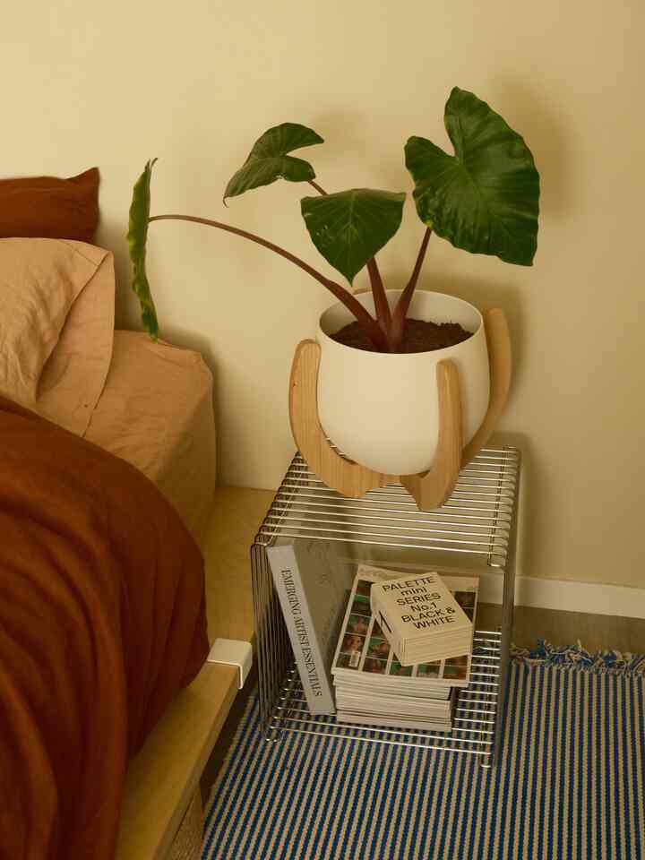 how do you like my new plant stand and a pot? 🌿🤎

#plantinterior #chrome #montana #floyd 