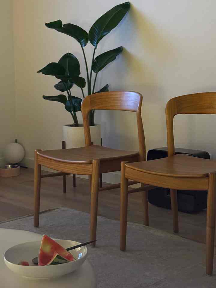 Natural wood tone dining room featuring two wooden dining chairs and a large green plant creating a cozy atmosphere