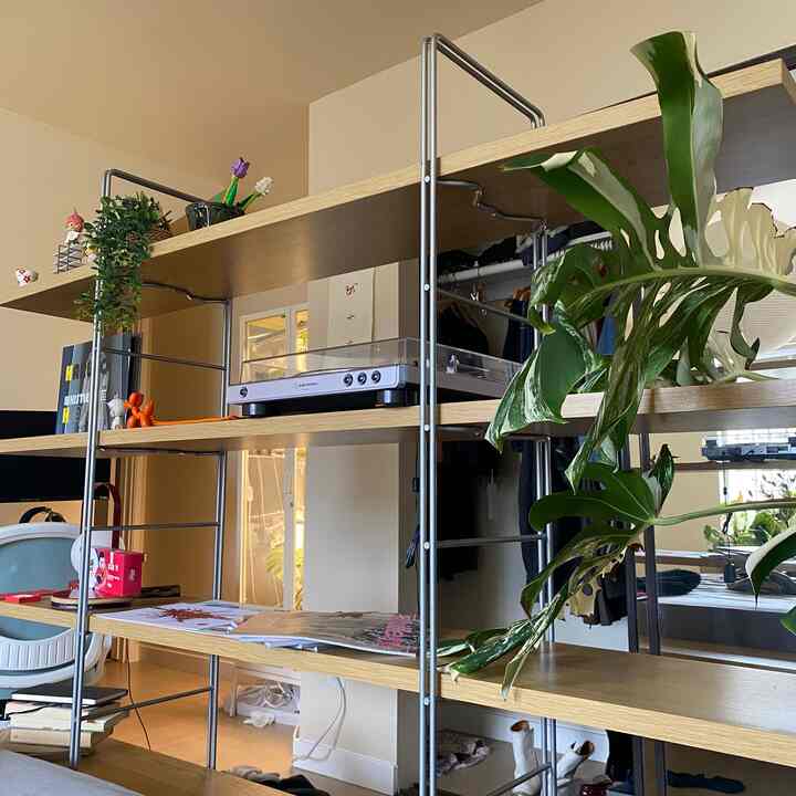Natural wood-tone and gray metal-framed shelf in living space featuring plants and books with a cozy interior