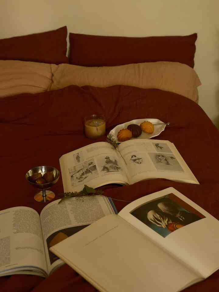 new bedding for fall 🤎
it’s from quince! 

#bedding #latesummer #summertofall #fallinterior 