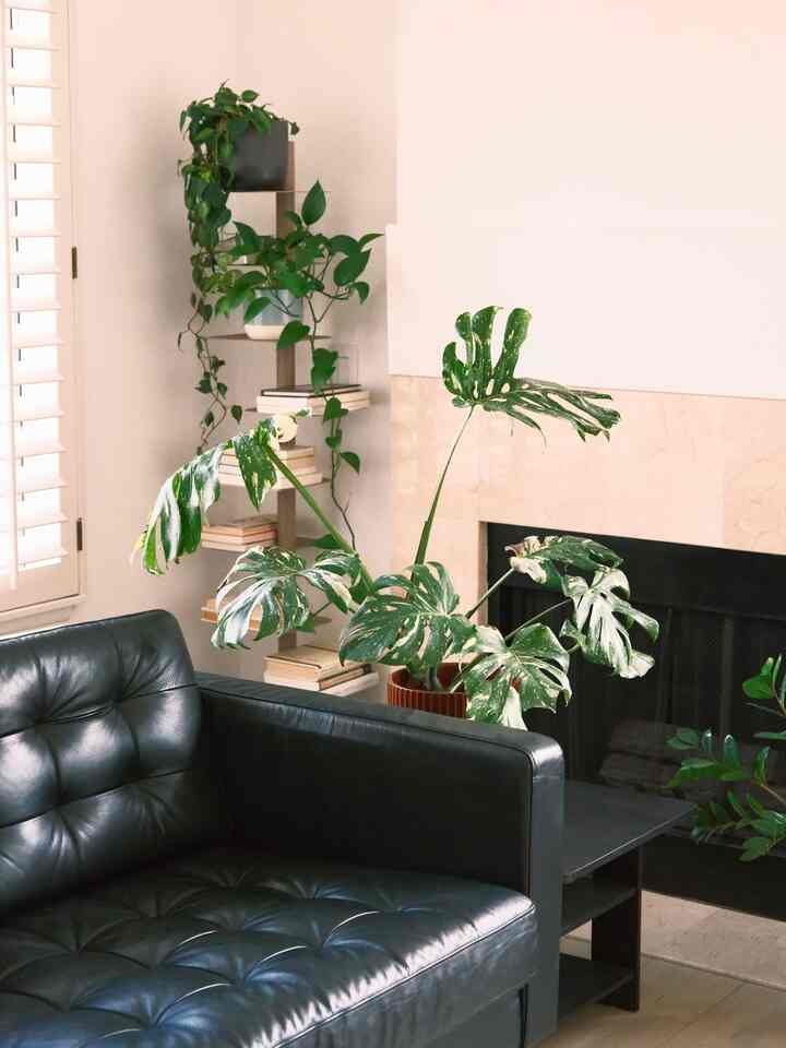 A cozy corner with lots of green ✨🌿 #cozyhome #plantdecor