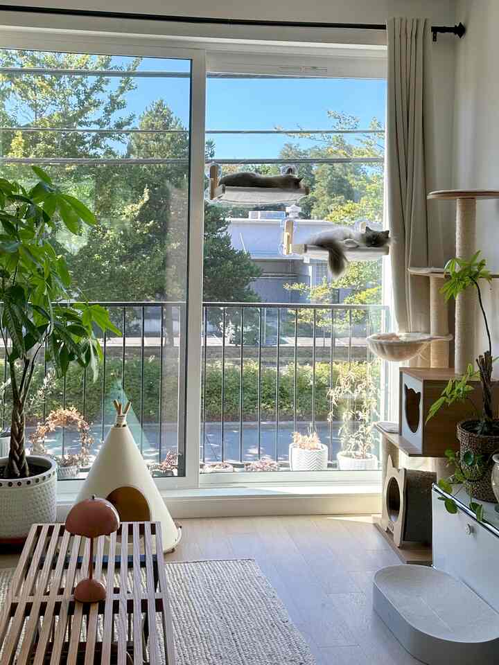 White and wood-toned living room featuring large window and cat pet beds on the window with a natural ambiance