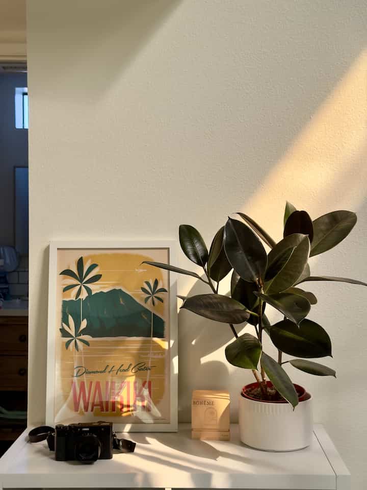 This corner is still a work in progress, but I already love how the morning light from the skylights makes it feel so cozy and warm.

#CozyHomeVibes #MorningLight #SimpleLiving #CozyAndCalm #MyHomeVibe #WarmAndInviting #LifeAtHome #CozyCorners #HomeComforts #SunlitSpaces #SlowLivingHome
#hawaii #artwall #framedposter #planterior
