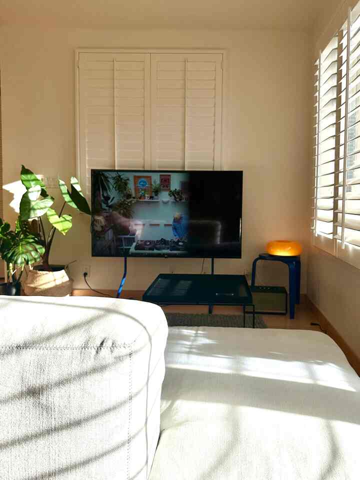 Bright modern living room with white and navy tones, featuring central TV and sofa, plants arranged on the left side