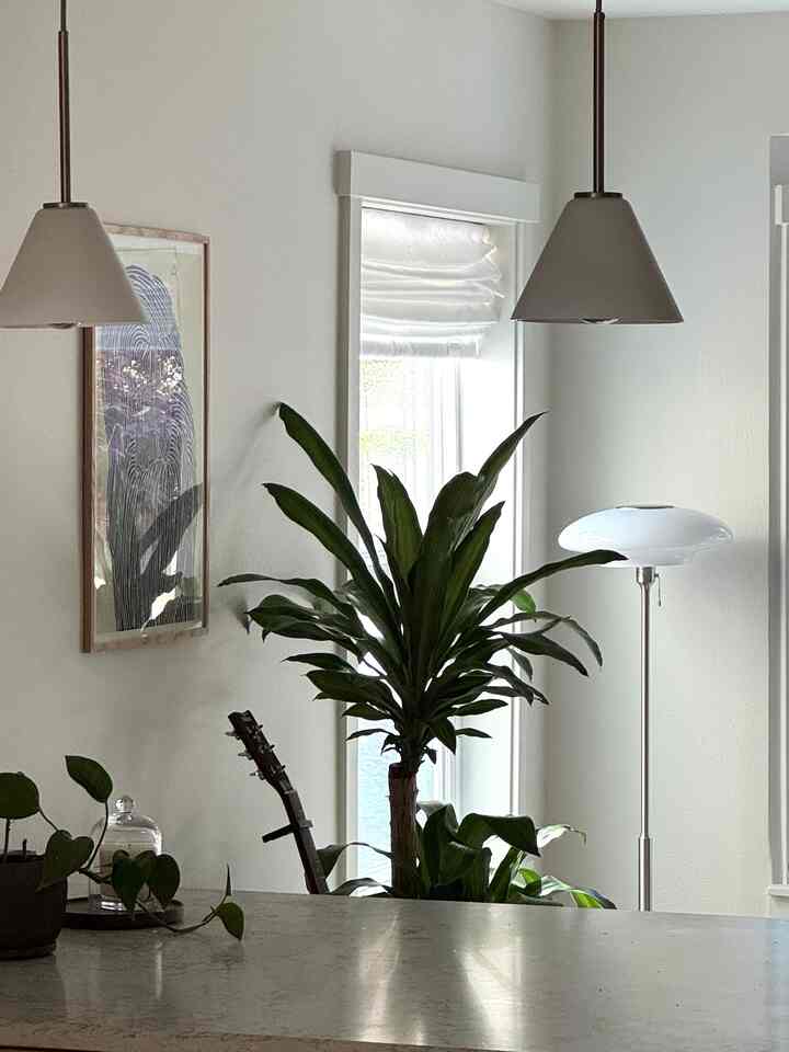 Quiet mornings, filtered light, and a little green in the corner. #livingroom #plant #plantinterior #ikealighting 