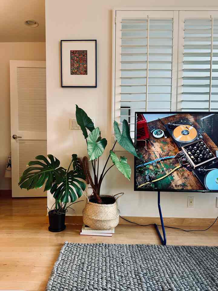 Finally hung up the picture frame 🖼️ #livingroom #indoorplants 